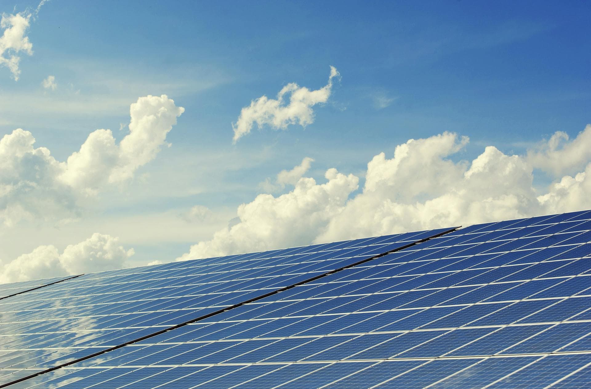 Sustainability