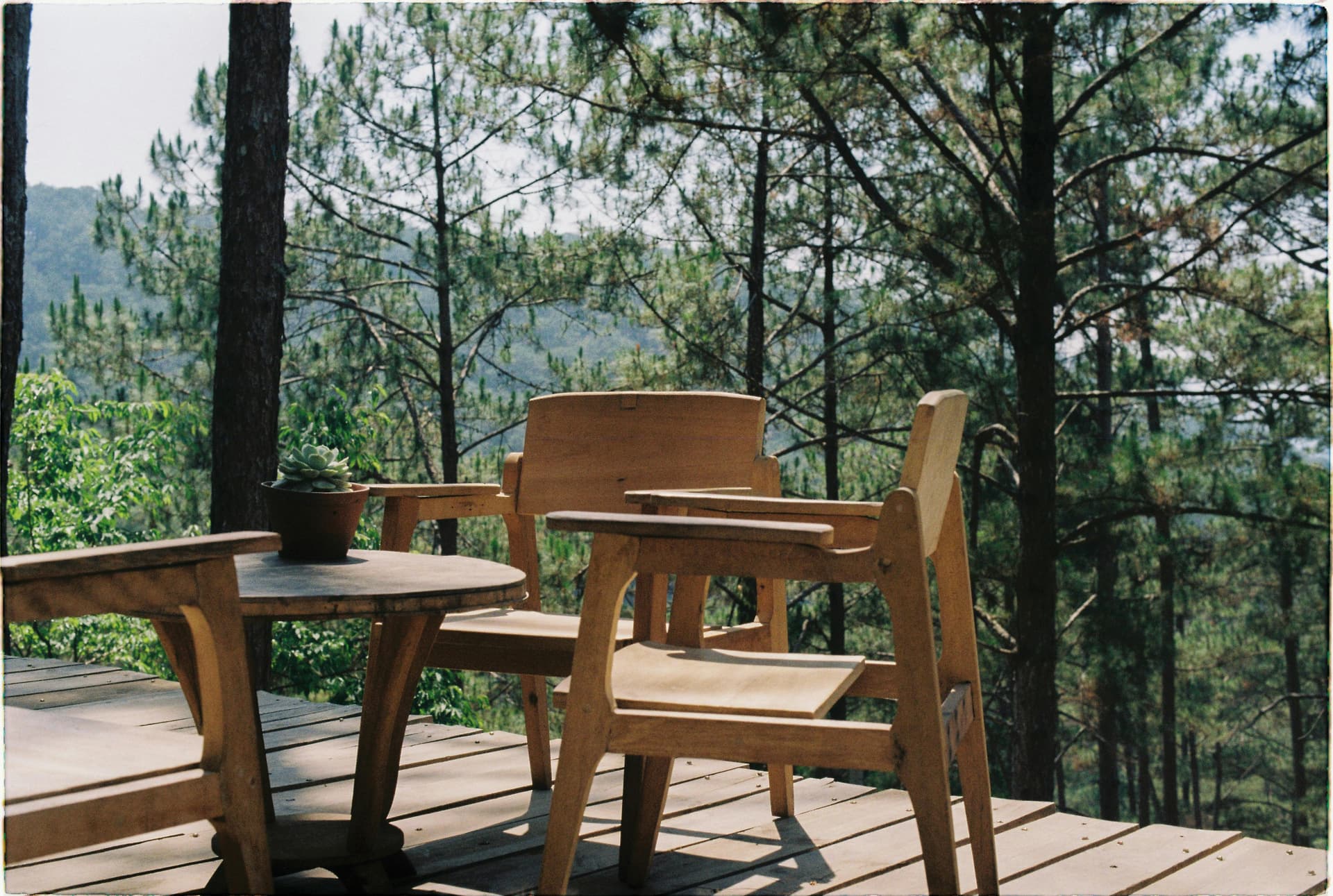 Sustainability commitment