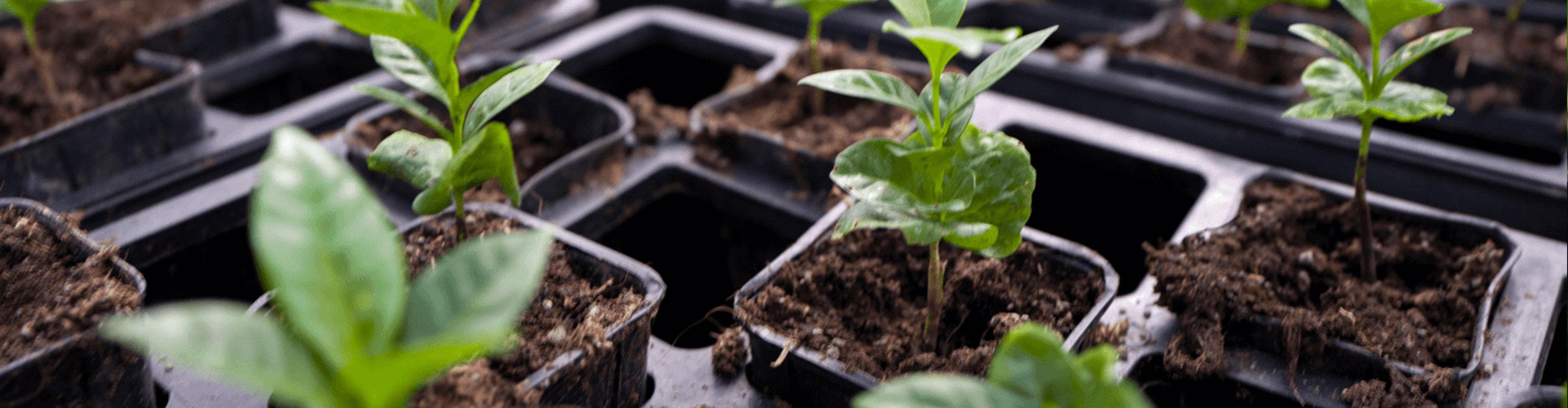 Sustainability at HEQS
